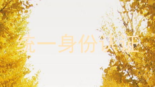 统一身份认证