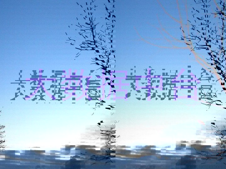 大数据中台