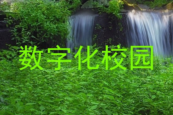 数字化校园