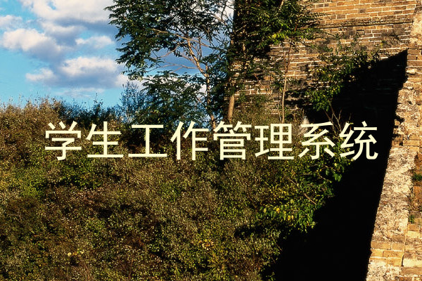 学生工作管理系统