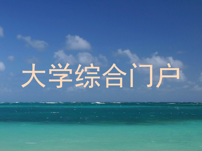 大学综合门户