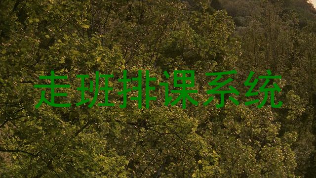 走班排课系统