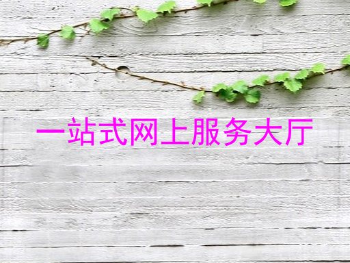 一站式网上服务大厅