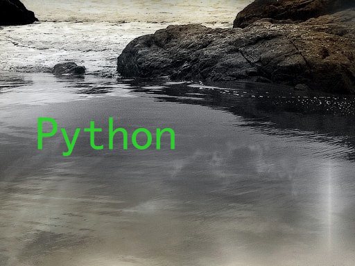 Python