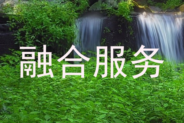 融合服务