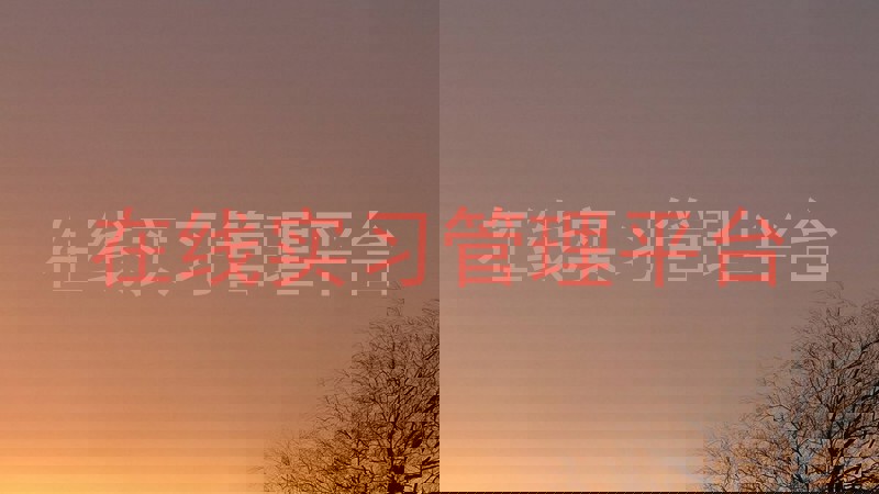 在线实习管理平台