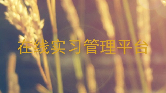在线实习管理平台