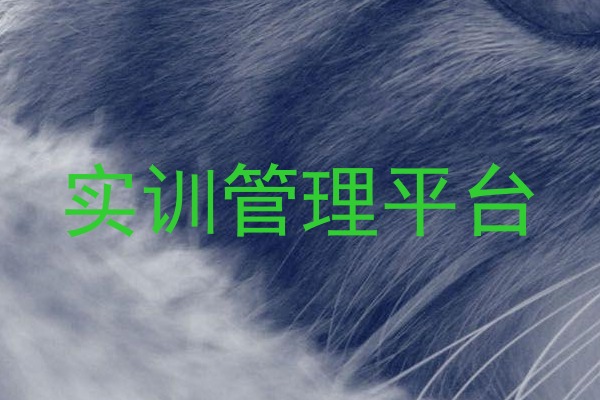 实训管理平台