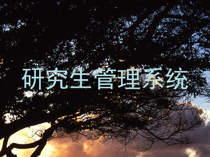 研究生管理系统