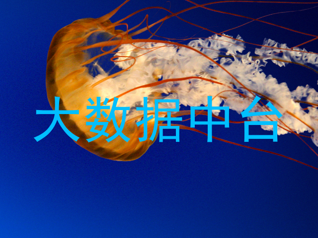 大数据中台