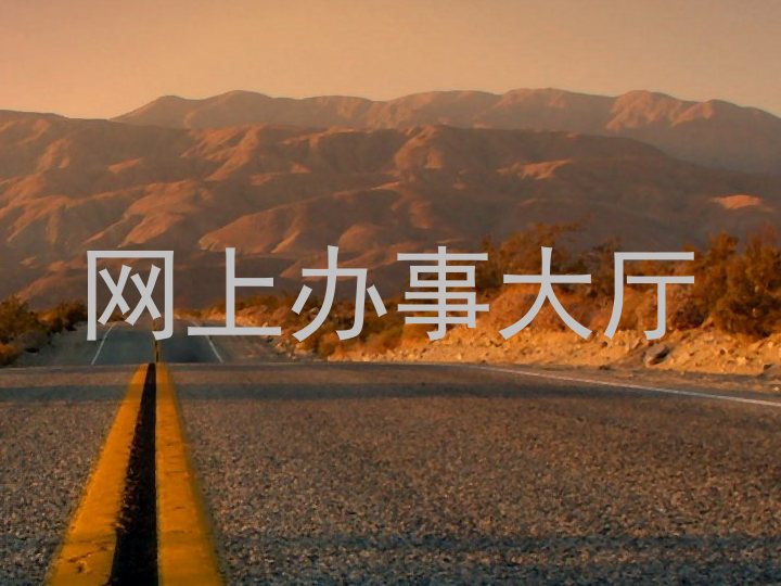 网上办事大厅