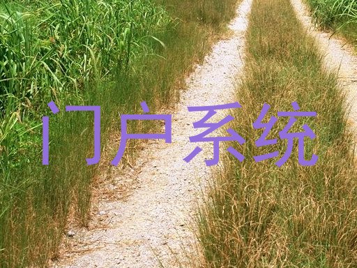 门户系统