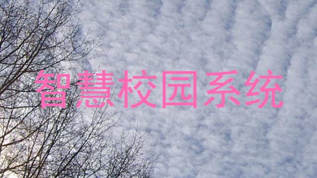 智慧校园系统