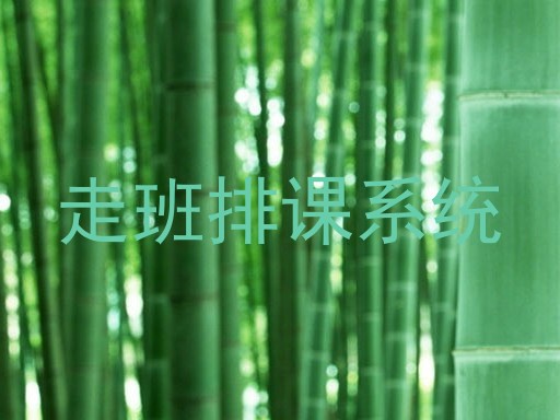 走班排课系统