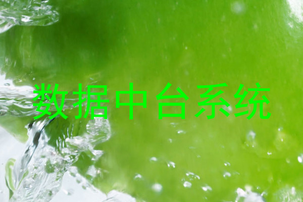 数据中台系统