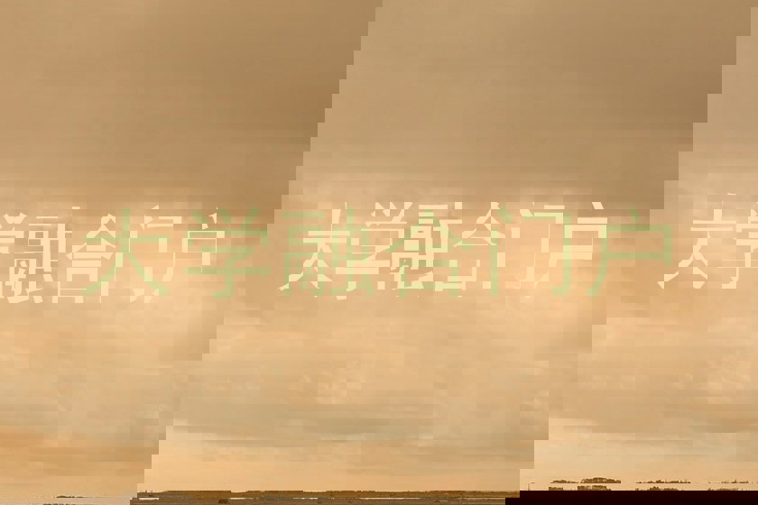 大学融合门户