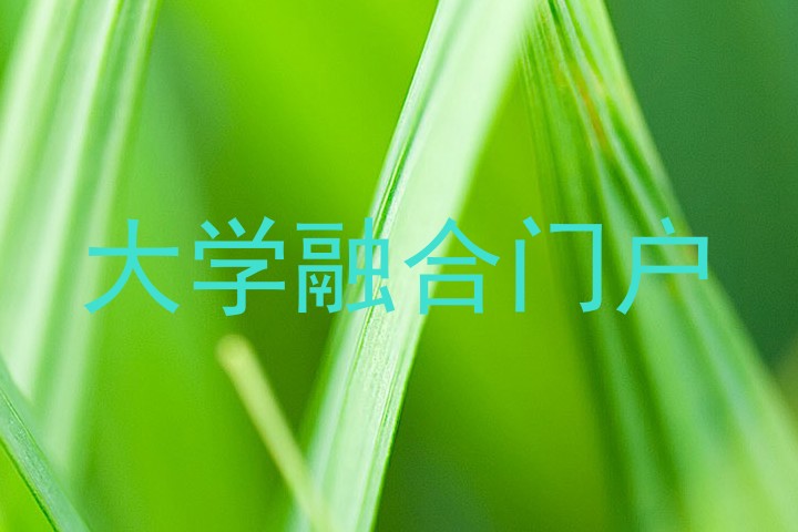 大学融合门户