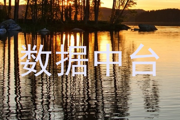 数据中台