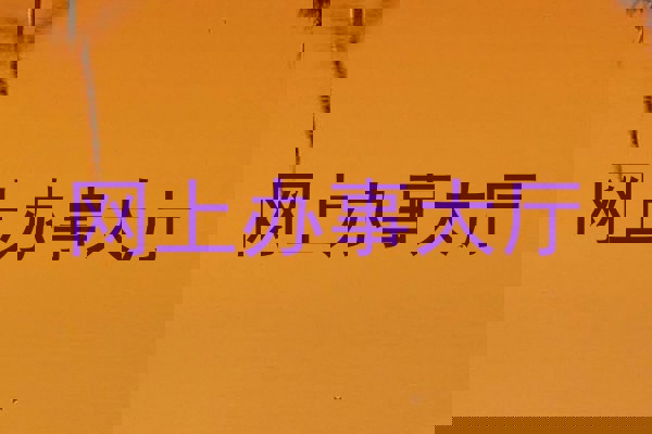 网上办事大厅