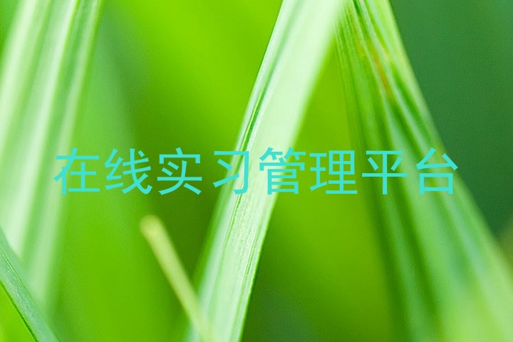 在线实习管理平台
