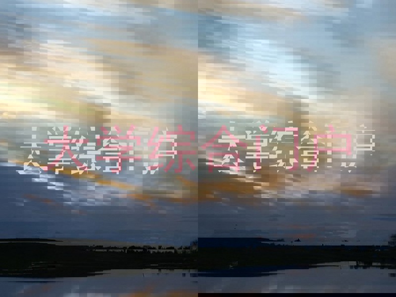 大学综合门户