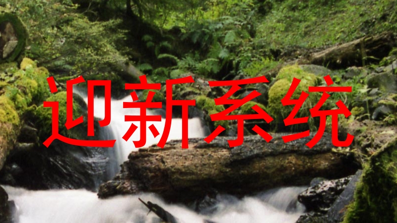 迎新系统