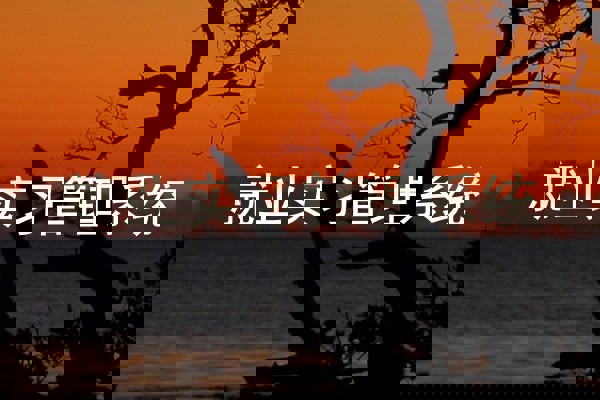 就业实习管理系统