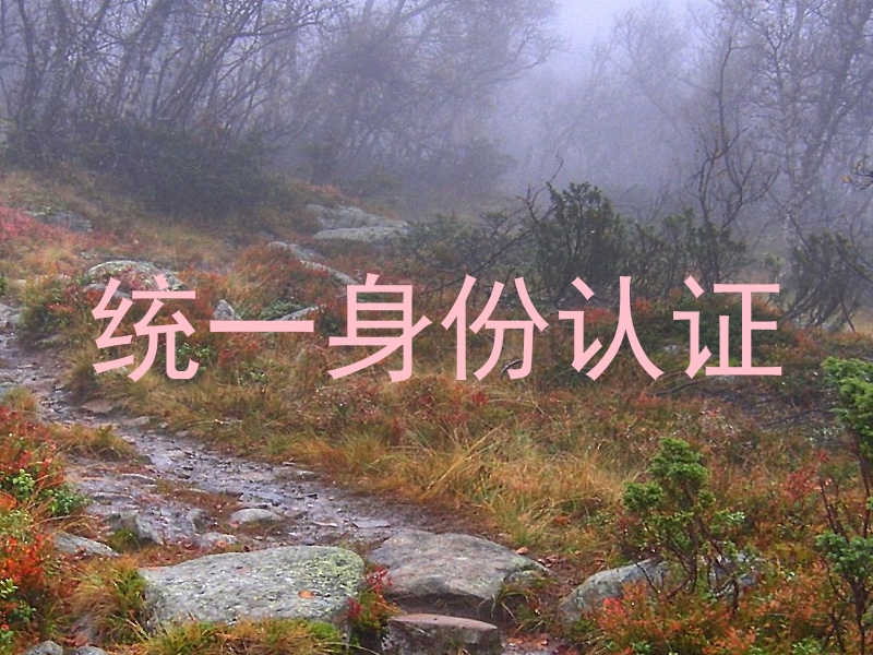 统一身份认证