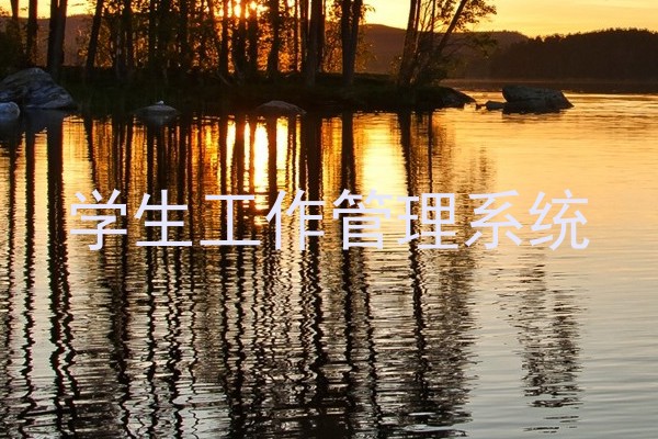 学生工作管理系统