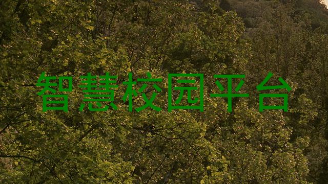智慧校园平台