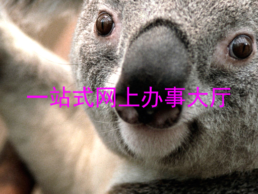 一站式网上办事大厅