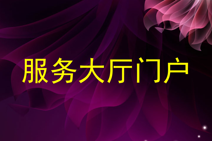 服务大厅门户
