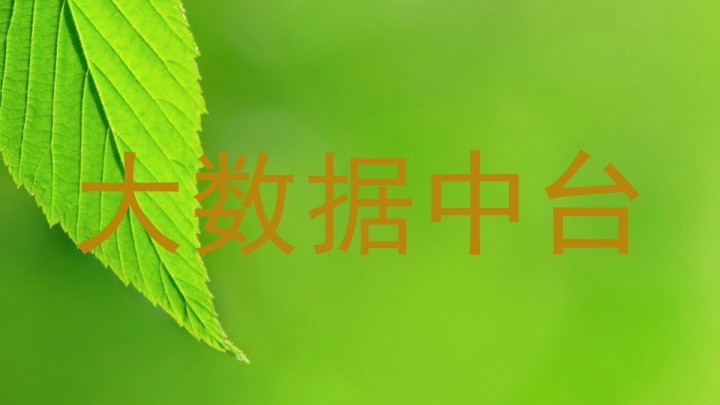 大数据中台