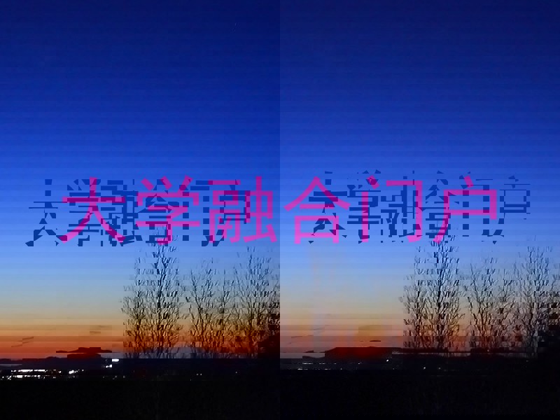 大学融合门户