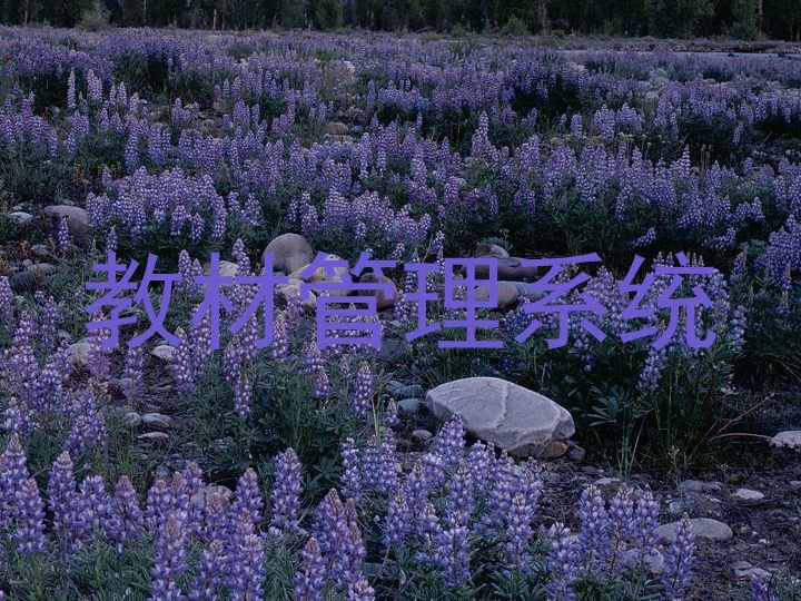 教材管理系统