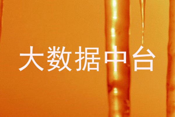 大数据中台