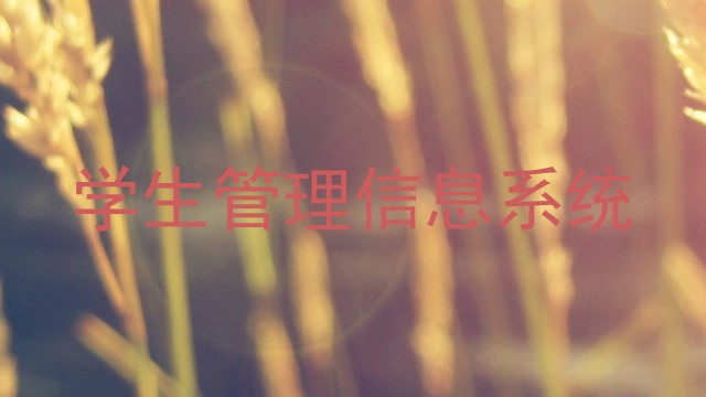 学生管理信息系统