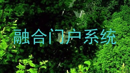 融合门户系统