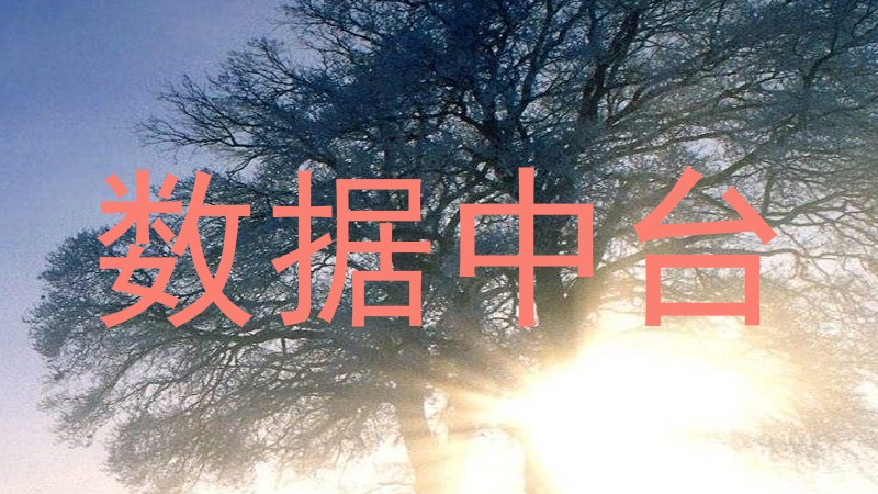 数据中台