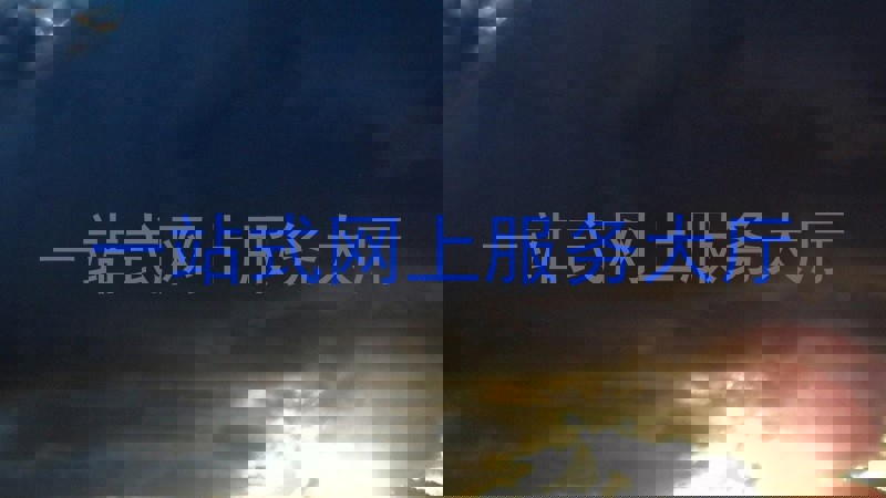 一站式网上服务大厅