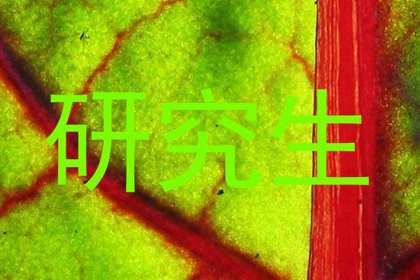 研究生