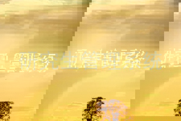 研究生管理系统