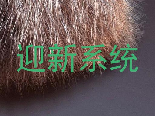 迎新系统