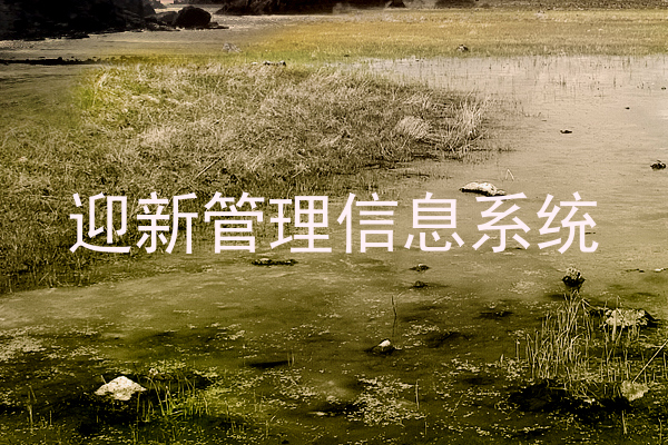 迎新管理信息系统