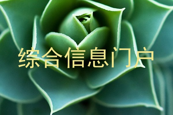 综合信息门户