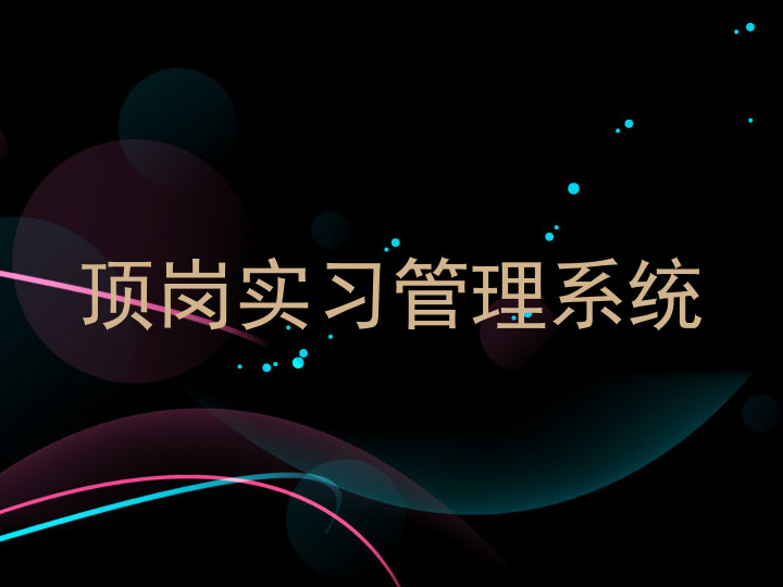 顶岗实习管理系统