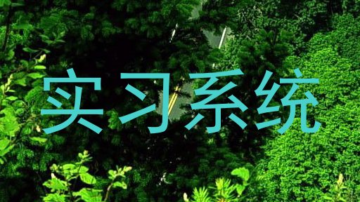 实习系统