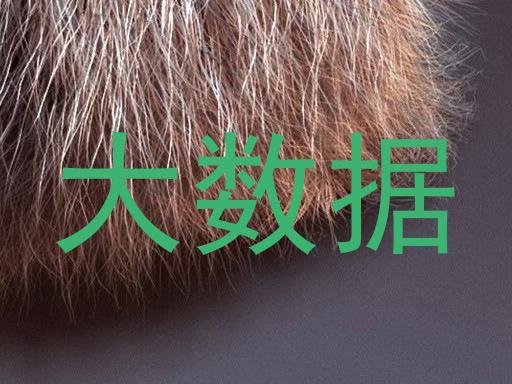 大数据