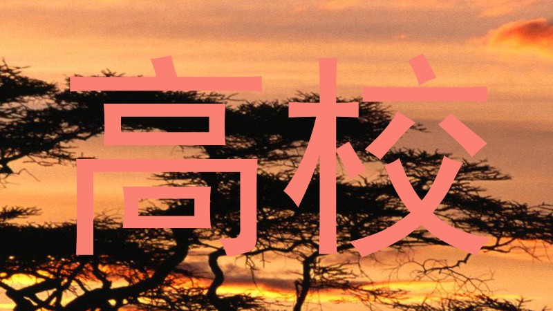 高校