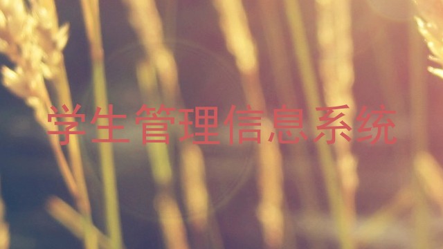 学生管理信息系统